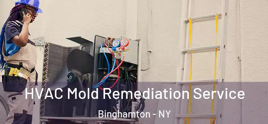  HVAC Mold Remediation Service Binghamton - NY