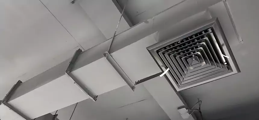 Our Rodent Droppings In Vents Services in Binghamton, NY