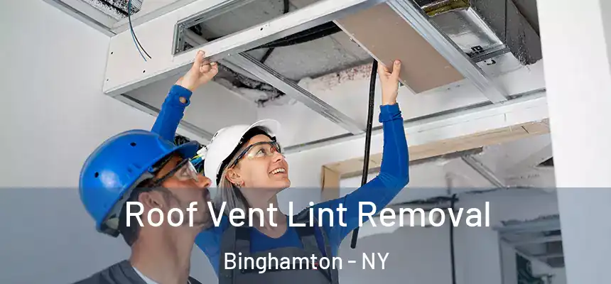  Roof Vent Lint Removal Binghamton - NY