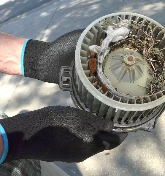 About Air Duct Rat Removal in Binghamton, NY