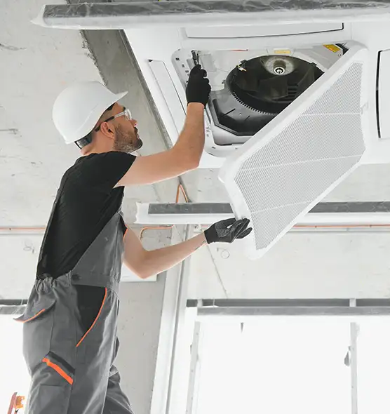 About Air Duct Rodent Removal in Binghamton, NY