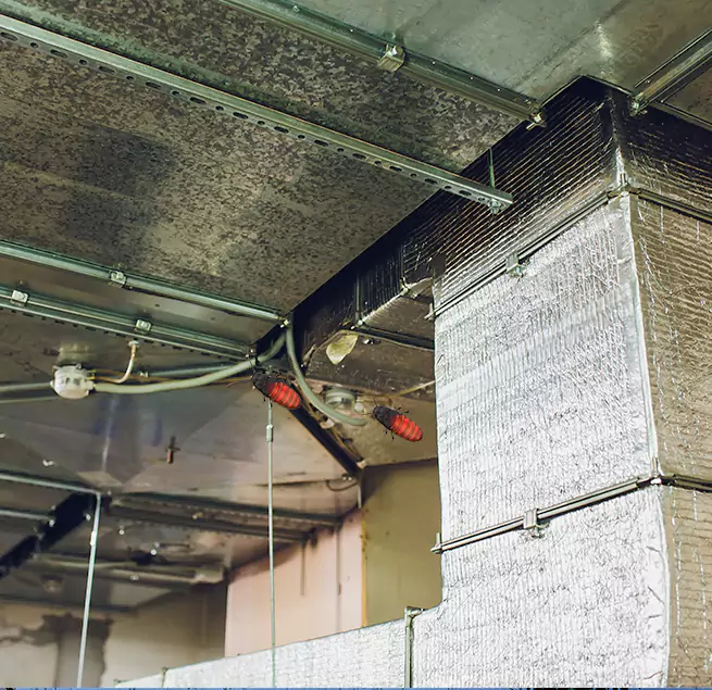 Why Homeowners & Businesses Trust Us in Binghamton, NY?