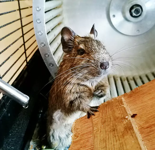 Why Homeowners & Businesses Trust Us Binghamton, NY?