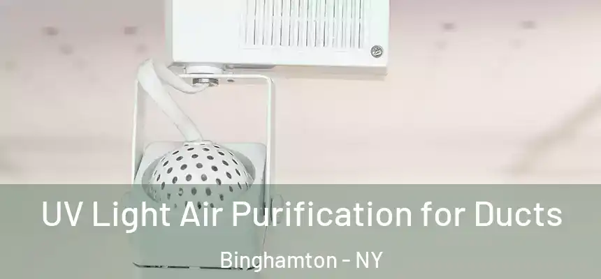  UV Light Air Purification for Ducts Binghamton - NY